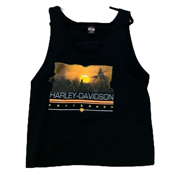 2002 Harley Davidson St. Thomas Caribbean Tank L - Picture 1 of 9